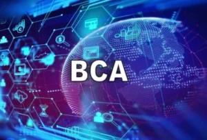BCA (BACHELOR IN COMPUTER APPLICATION)